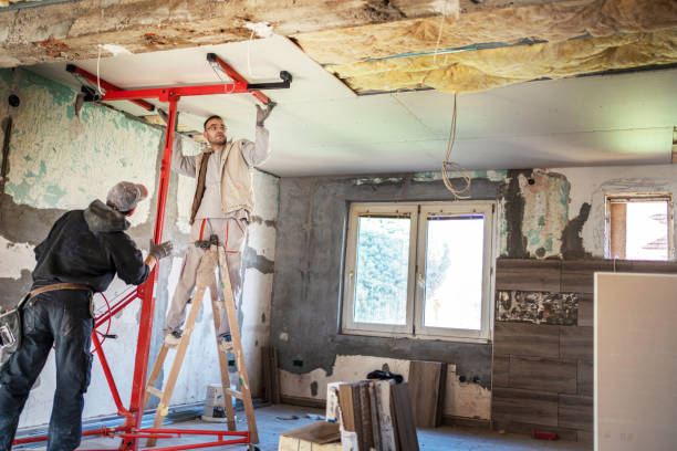 Best Residential Insulation in Dimondale, MI