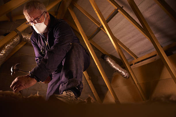 Best Energy Efficiency Solutions in Dimondale, MI
